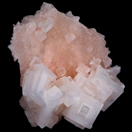 3" Quality Pink Halite Salt Crystals Cluster Mineral Trona, CA Searles Lake