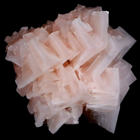 2.9" Quality Pink Halite Salt Crystals Cluster Mineral Trona, CA Searles Lake