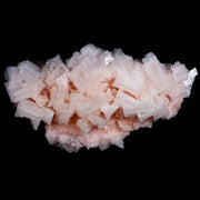 XL 6.8" Quality Pink Halite Salt Crystals Cluster Mineral Trona, CA Searles Lake