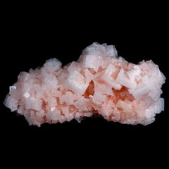 Pink Halite Mineral Collection