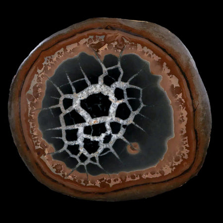 XL 3.5" Septarian Dragon Stone Polished Halves Nodule Mineral Specimen Morocco