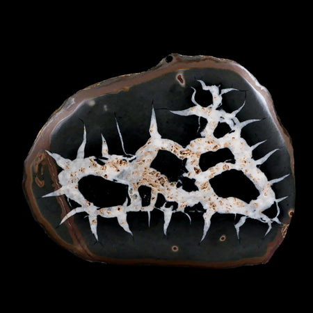 XL 4.1" Septarian Dragon Stone Polished Halves Nodule Mineral Specimen Morocco