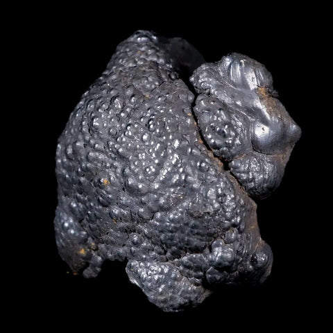 1.6" Hematite Botryoidal Kidney Ore Rock Mineral Specimen Irhoud Mine, Morocco - Fossil Age Minerals