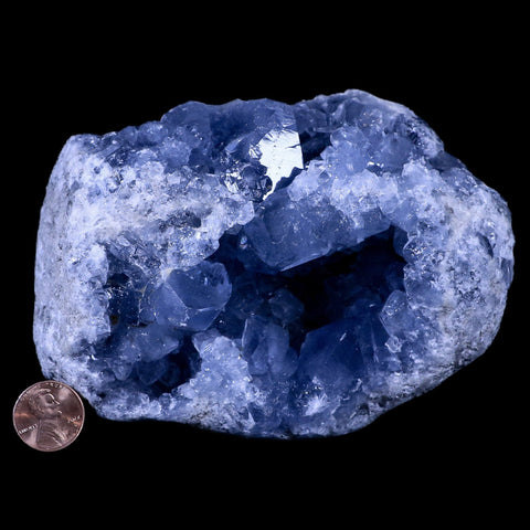 XL 5" Sky Blue Rough Celestite Crystal Druzy Cluster Geode 4 LB 6.5 OZ Celestine - Fossil Age Minerals