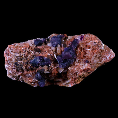4.8" Purple Fluorite on White Barite Blades Crystal Minerals Taouirirt Morocco - Fossil Age Minerals
