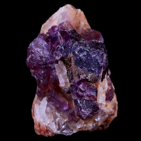 2.6" Purple Fluorite on White Barite Blades Crystal Minerals Taouirirt Morocco - Fossil Age Minerals