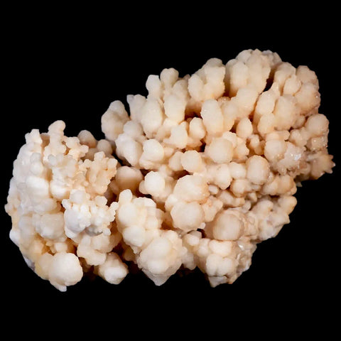 4.2" Botryoidal Aragonite Cave Calcite Crystal Cluster Mineral Specimen Morocco - Fossil Age Minerals