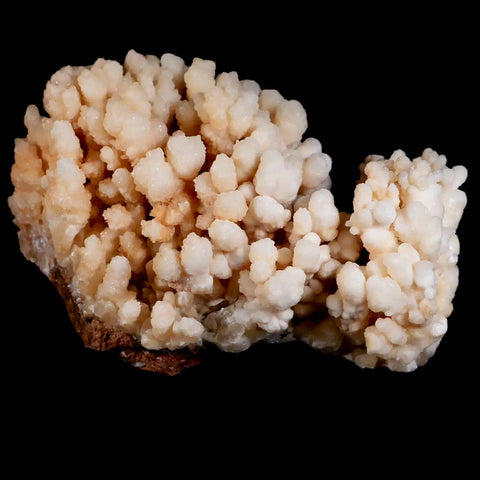 4.2" Botryoidal Aragonite Cave Calcite Crystal Cluster Mineral Specimen Morocco - Fossil Age Minerals