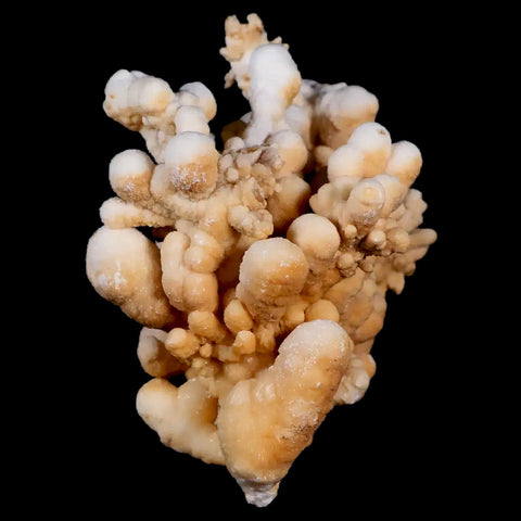 3.3" Botryoidal Aragonite Cave Calcite Crystal Cluster Mineral Specimen Morocco - Fossil Age Minerals