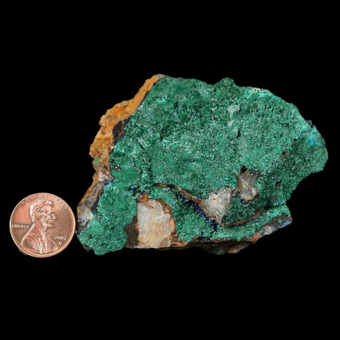 3" Azurite Crystals & Malachite On Matrix Mineral Specimen Tiznit Morocco - Fossil Age Minerals