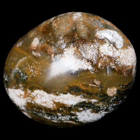2.7" Natural Polished Ocean Jasper Crystal Palm Stone Location Madagascar Healing - Fossil Age Minerals