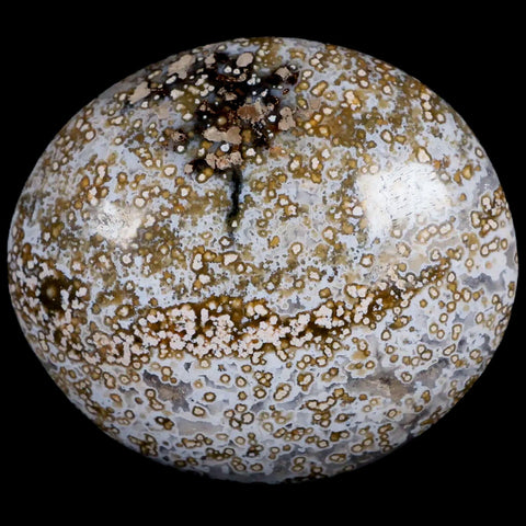 2.7" Natural Polished Ocean Jasper Crystal Palm Stone Location Madagascar Healing - Fossil Age Minerals