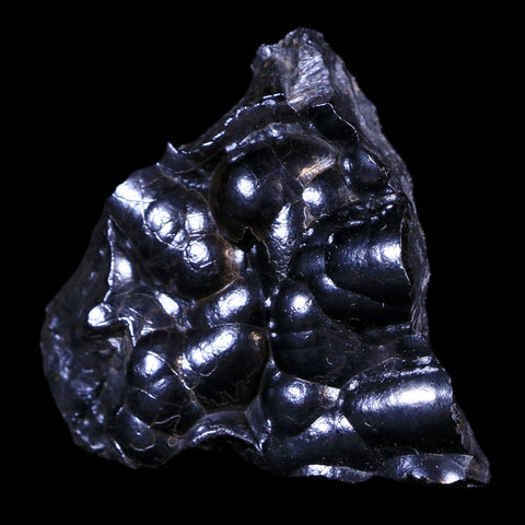 2.2" Hematite Botryoidal Kidney Ore Rock Mineral Specimen Irhoud Mine, Morocco - Fossil Age Minerals