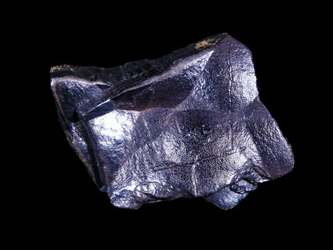 1.7" Hematite Botryoidal Kidney Ore Rock Mineral Specimen Irhoud Mine, Morocco - Fossil Age Minerals