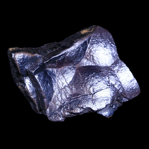 1.7" Hematite Botryoidal Kidney Ore Rock Mineral Specimen Irhoud Mine, Morocco - Fossil Age Minerals
