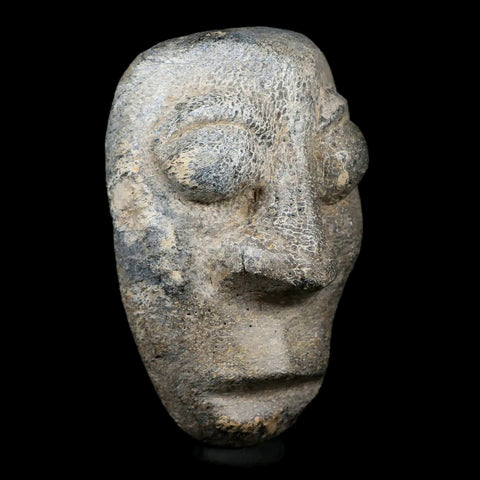3.5" Mastodon Mammoth Fossilized Bone Hand Carved Mask Java Indonesia - Fossil Age Minerals