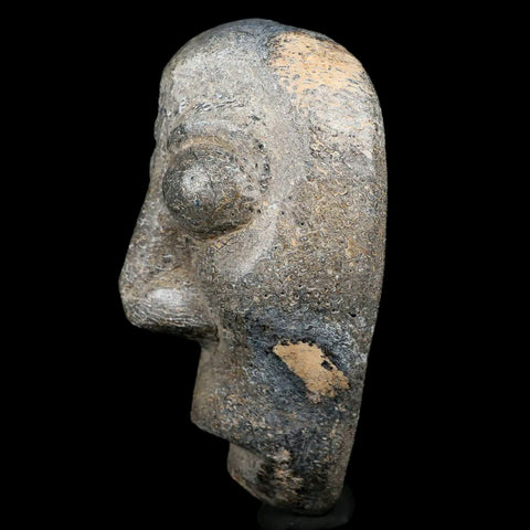 3.5" Mastodon Mammoth Fossilized Bone Hand Carved Mask Java Indonesia - Fossil Age Minerals