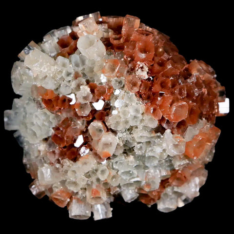 2.3" Aragonite Mineral Two Tone Crystal Cluster Specimen Tazouta Morocco - Fossil Age Minerals