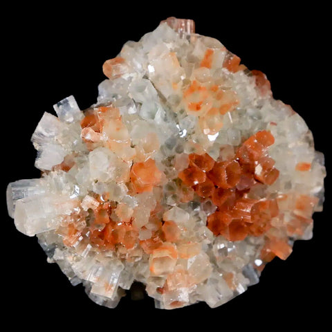 2.1" Aragonite Mineral Two Tone Crystal Cluster Specimen Tazouta Morocco - Fossil Age Minerals