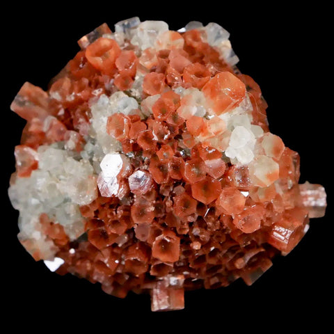 1.9" Aragonite Mineral Two Tone Crystal Cluster Specimen Tazouta Morocco - Fossil Age Minerals
