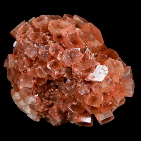 1.9" Aragonite Mineral Two Tone Crystal Cluster Specimen Tazouta Morocco - Fossil Age Minerals