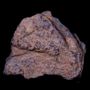Bendege Meteorite Specimen Riker Display Bendege Bahia Brazil 3.8 Grams