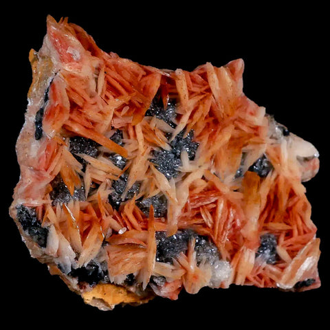 2.5" Sparkly Orange Barite Blades, Cerussite Crystals, Galena Crystal Mineral Morocco - Fossil Age Minerals