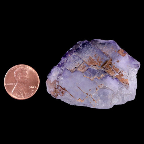 1.8" Purple Fluorite Crystal Clear Cluster Mineral Specimen Taourirt Morocco - Fossil Age Minerals