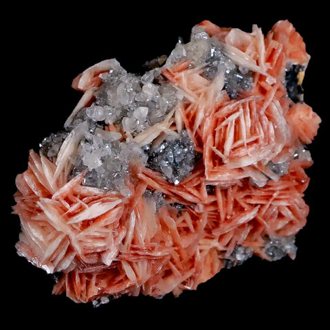 2.3" Sparkly Pink Barite Blades, Cerussite Crystals, Galena Crystal Mineral Morocco - Fossil Age Minerals