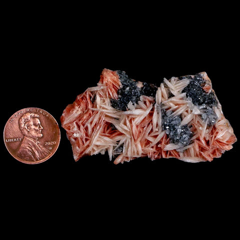 2.3" Sparkly Pink Barite Blades, Cerussite Crystals, Galena Crystal Mineral Morocco - Fossil Age Minerals