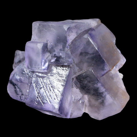 1.5" Purple Fluorite Crystal Cubes Cluster Mineral Specimen Taourirt Morocco - Fossil Age Minerals