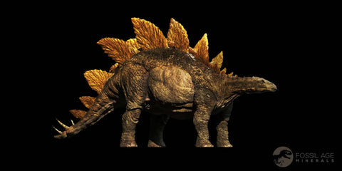 4" Stegosaurus Fossil Vertebrae Morrison FM Jurassic Age WY Dinosaur Stand COA - Fossil Age Minerals