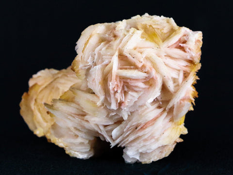 3.1" Pink, Yellow Barite Blades Crystal Mineral Specimen Morocco 6.9 OZ - Fossil Age Minerals