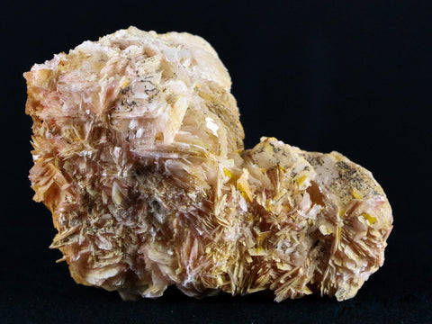 3.1" Pink, Yellow Barite Blades Crystal Mineral Specimen Morocco 6.9 OZ - Fossil Age Minerals