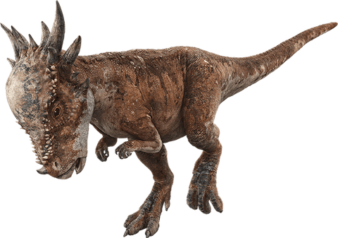 3.1" Pachycephalosaurus Dinosaur Fossil Vertebrae Bone Hell Creek MT COA Stand - Fossil Age Minerals