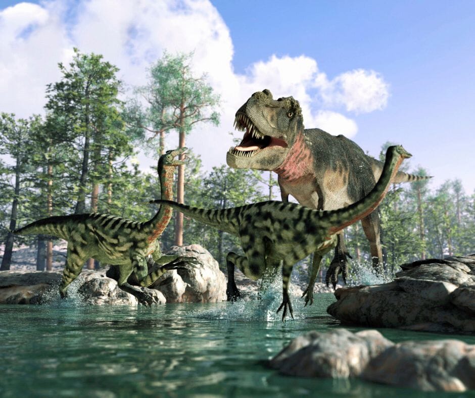 Intriguing Discoveries & Recent Finds That Shed New Light On Our Most Popular Dinosaurs