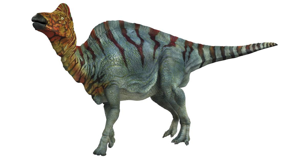 Get Corythosaurus And Other Fossils For Sale!