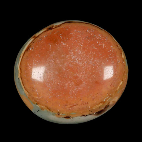 2.5" Polychrome Jasper Natural Polished Mineral Palm Stone Madagascar - Fossil Age Minerals