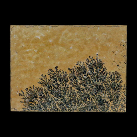 3.1" Pyrolusite Dendritic Sandstone Solnhofen Upper Jurassic Age West Germany - Fossil Age Minerals