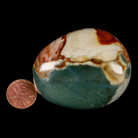 2.4" Polychrome Jasper Natural Polished Mineral Palm Stone Madagascar - Fossil Age Minerals