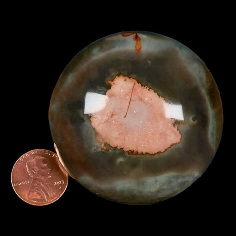 2.4" Polychrome Jasper Natural Polished Mineral Palm Stone Madagascar - Fossil Age Minerals