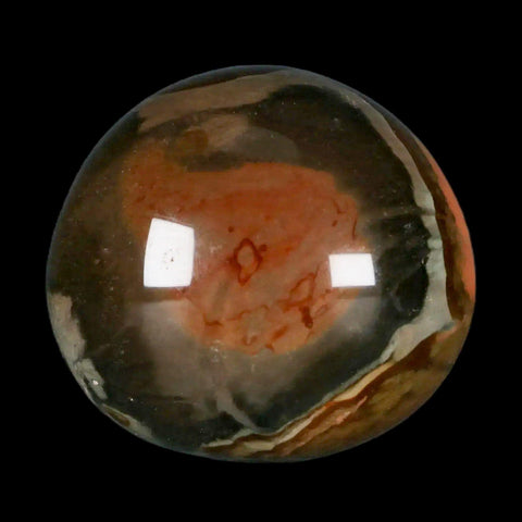 2.3" Polychrome Jasper Natural Polished Mineral Palm Stone Madagascar - Fossil Age Minerals