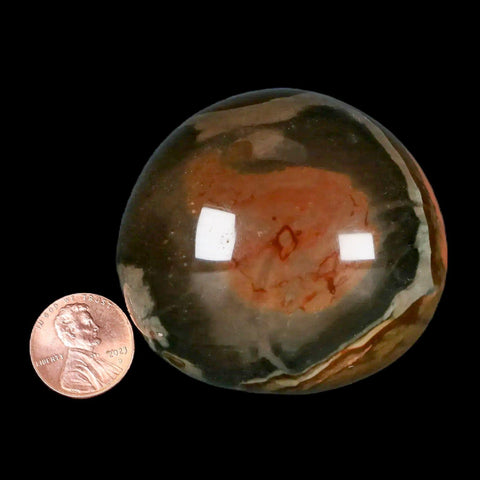 2.3" Polychrome Jasper Natural Polished Mineral Palm Stone Madagascar - Fossil Age Minerals