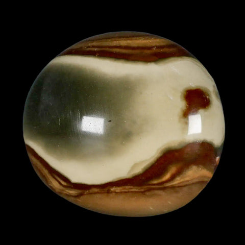 2.6" Polychrome Jasper Natural Polished Mineral Palm Stone Madagascar - Fossil Age Minerals