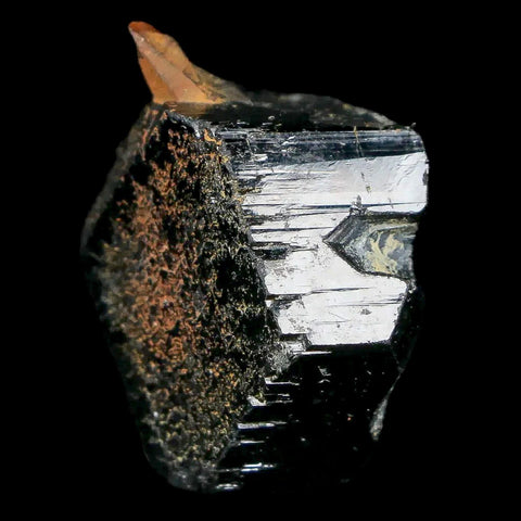 1.3" Natural Rough Schorl Black Tourmaline Mineral Erongo Mountains, Namibia - Fossil Age Minerals