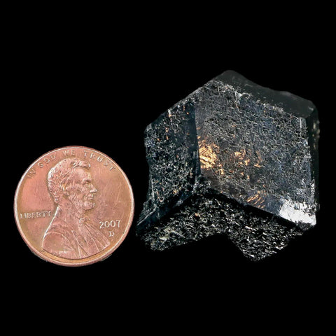 1.6" Natural Rough Schorl Black Tourmaline Mineral Erongo Mountains, Namibia - Fossil Age Minerals