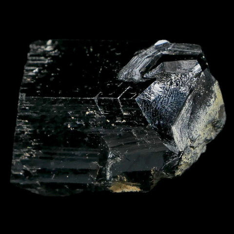 1.6" Natural Rough Schorl Black Tourmaline Mineral Erongo Mountains, Namibia - Fossil Age Minerals