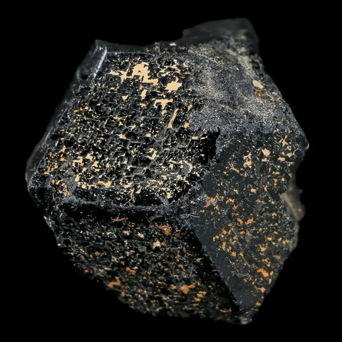 1.2" Natural Rough Schorl Black Tourmaline Mineral Erongo Mountains, Namibia - Fossil Age Minerals