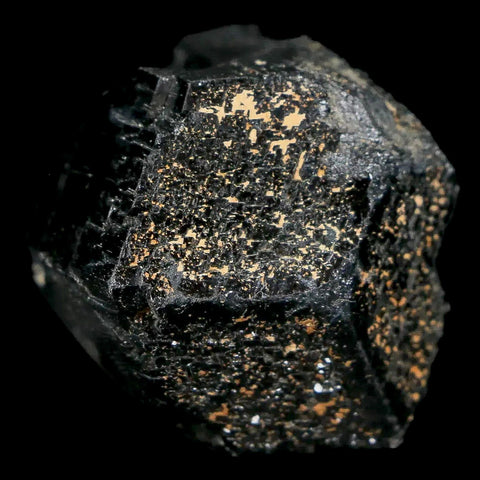 1.2" Natural Rough Schorl Black Tourmaline Mineral Erongo Mountains, Namibia - Fossil Age Minerals