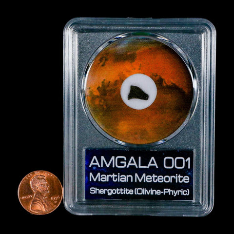 Mars Rock Martian Meteorite Amgala 001 Shergottite Olivine-Phyric COA And Display - Fossil Age Minerals